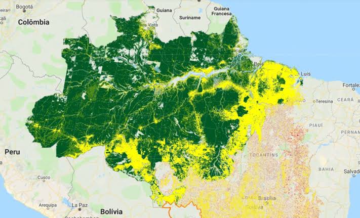 Amazônia agoniza e colapso é crítico quase irreversível