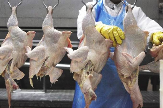 Operação \"Carne Fraca \" leva Polícia Federal realizar buscas e apreensões em nove estados do país