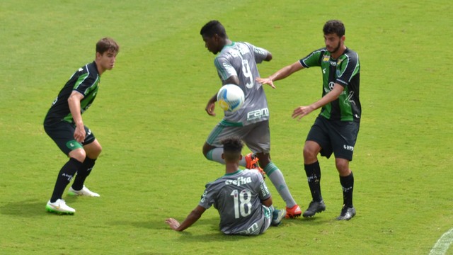 Palmeiras mais líder do que nunca no Brasileirão