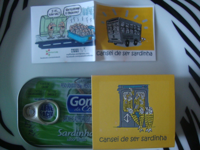 Transporte coletivo e  protesto em SC