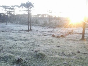 Frio chega com intensidade na Serra Catarinense