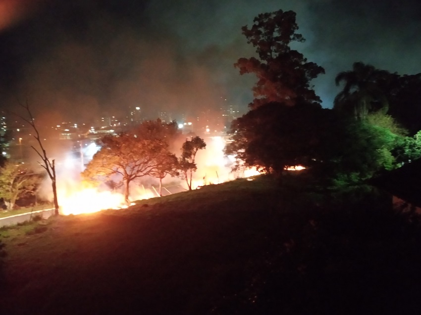 Queimadas em lixo que ameaçam árvores  e casas em São José SC. Bombeiros foram acionados