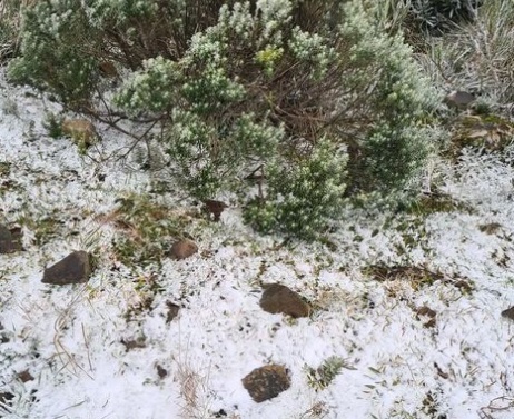NEVE EM SANTA CATARINA 