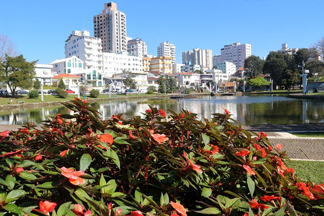 Lages (SC) encanta pelo colorido das flores