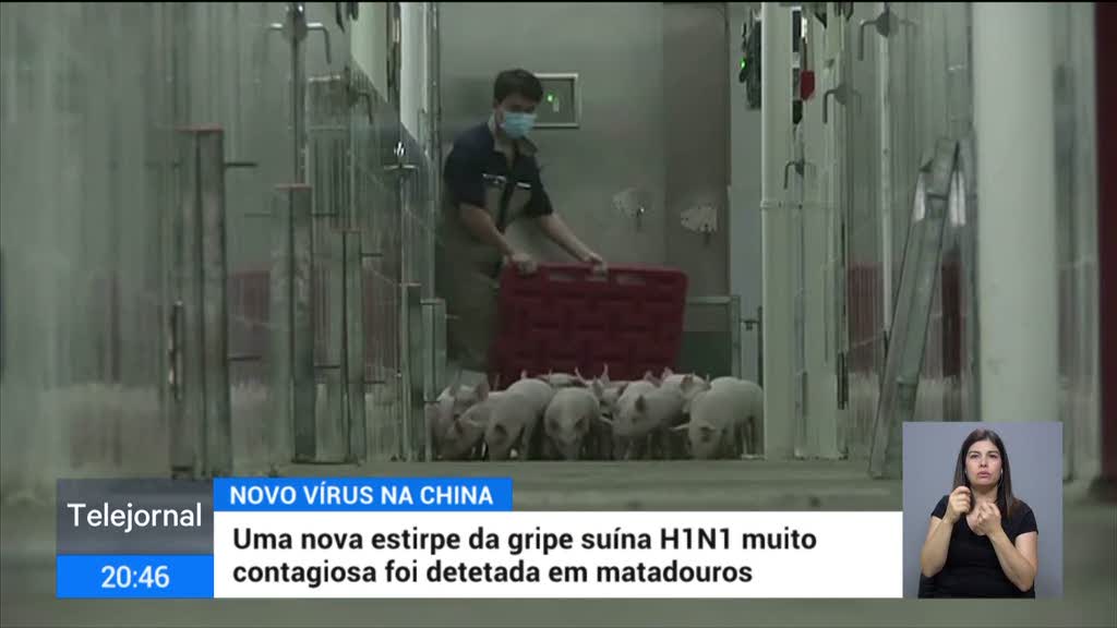 China vira centro mundial de surgimento de vírus agressivos. Além da Covid-19 uma nova cepa do H1N1 surge e vira grande ameaça epidêmica