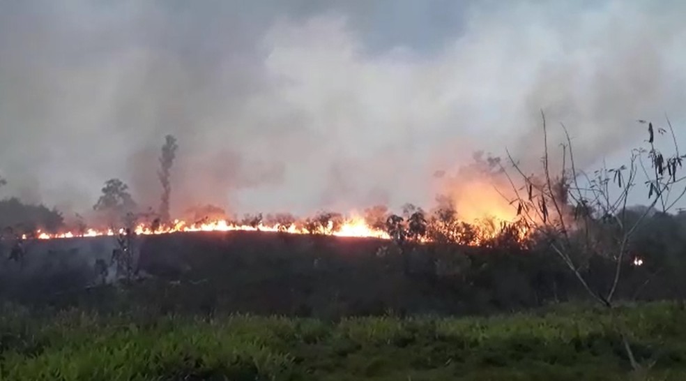 Fire in Brazil - Título internacional mais propício ao Brasil devido às queimadas na Amazônia; Pantanal e Mata Atlântica