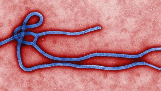 Ebola chega na América Latina