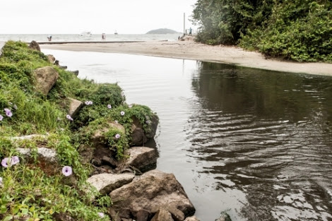 Praias poluídas em Santa Catarina repercute no exterior