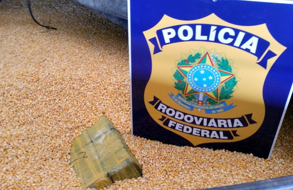 Polícia apreende 827 quilos de maconha em meio a carga de milho em SC