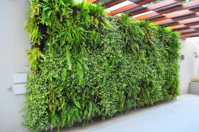 DECORAÇÃO : JARDINS VERTICAIS  BASTANTE  REQUISITADOS  EM  SC