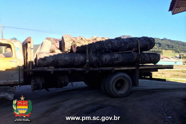 Crime ambiental na Serra Catarinense