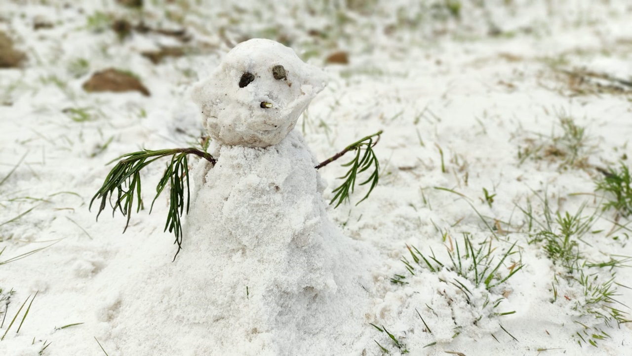 Neve encanta moradores e turistas  em Lages e em vários outros municípios serranos de SC
