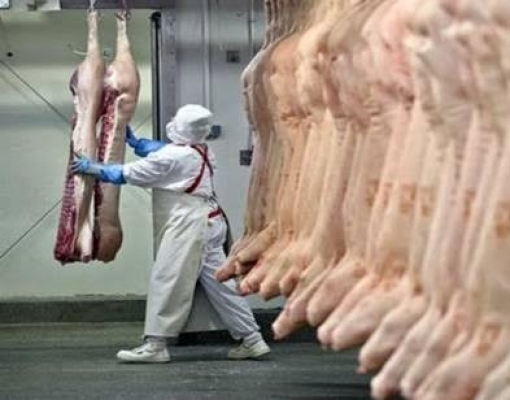 China suspende importação de carne suína de duas unidades brasileiras: um da JBS e outra da BRF devido presença de Covid-19