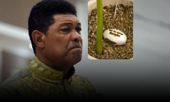 Apóstolo Valdemiro Santiago na mira do Tribunal de Justiça de São Paulo. Motivo: o golpe da planta \" milagrosa \" contra a Covid-19 à R$ 1 mil a unidade do grão desconhecido
