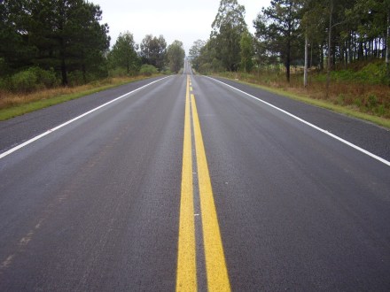 Próximas da pista da Rodovia BR-287 que liga Santa Maria a Santiago (RS),  árvores apresentam grandes riscos à acidentes