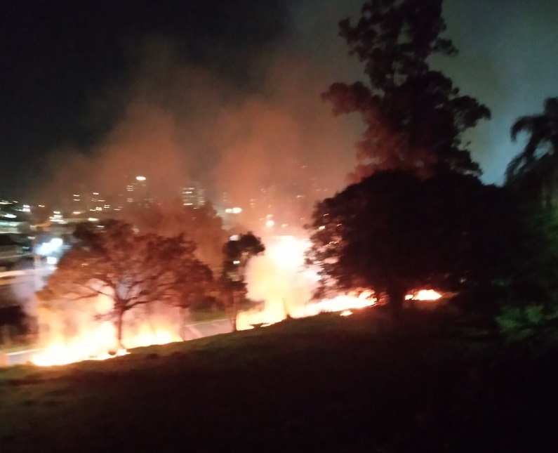 Brasil sofre devastadora destruição de florestas e fogo ameaça grandes centros deste país