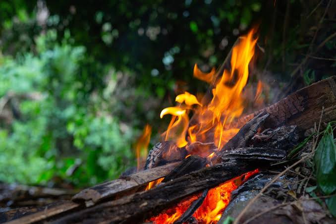Amazônia agonia. Chamas devorando florestas derrubadas criminosamente. Fogo avança diuturnamente na maior floresta tropical do mundo